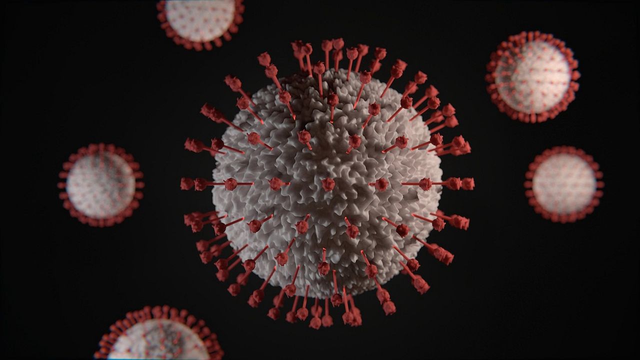 Koronawirus SADS-CoV może namnażać się w ludzkich komórkach - alarmują naukowcy.