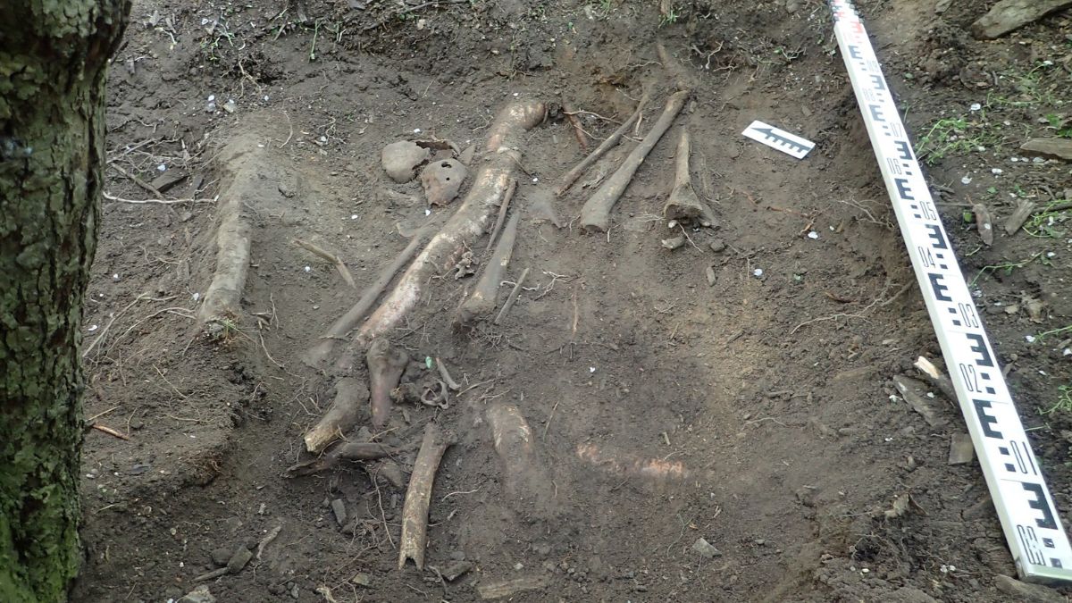 Zaskakujące odkrycie na Dolnym Śląsku.