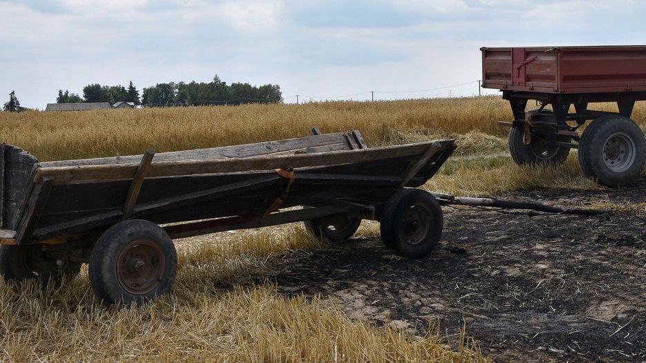 Tragiczny finał pożaru pola w miejscowości Zofijówka w powiecie łukowskim. Zmarł 50-latek