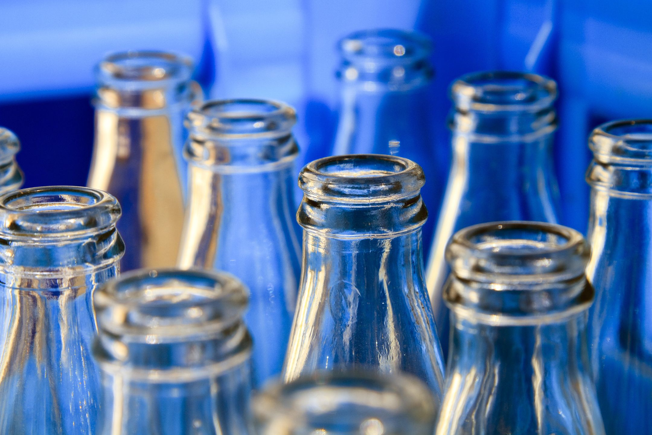 Alkohol wyniszcza nie tylko wątrobę, ale i śledzionę