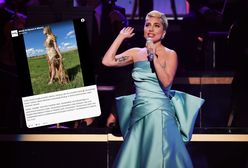 Lady Gaga otrzymała suknię z Polski. Jest w całości wykonana z drewna