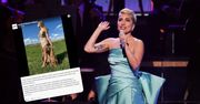 Lady Gaga otrzymała suknię z Polski. Jest w całości wykonana z drewna
