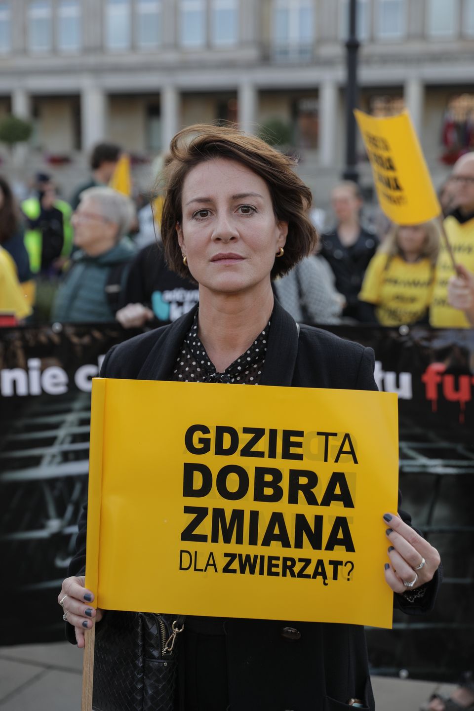 Wielki Marsz Dla Zwierząt