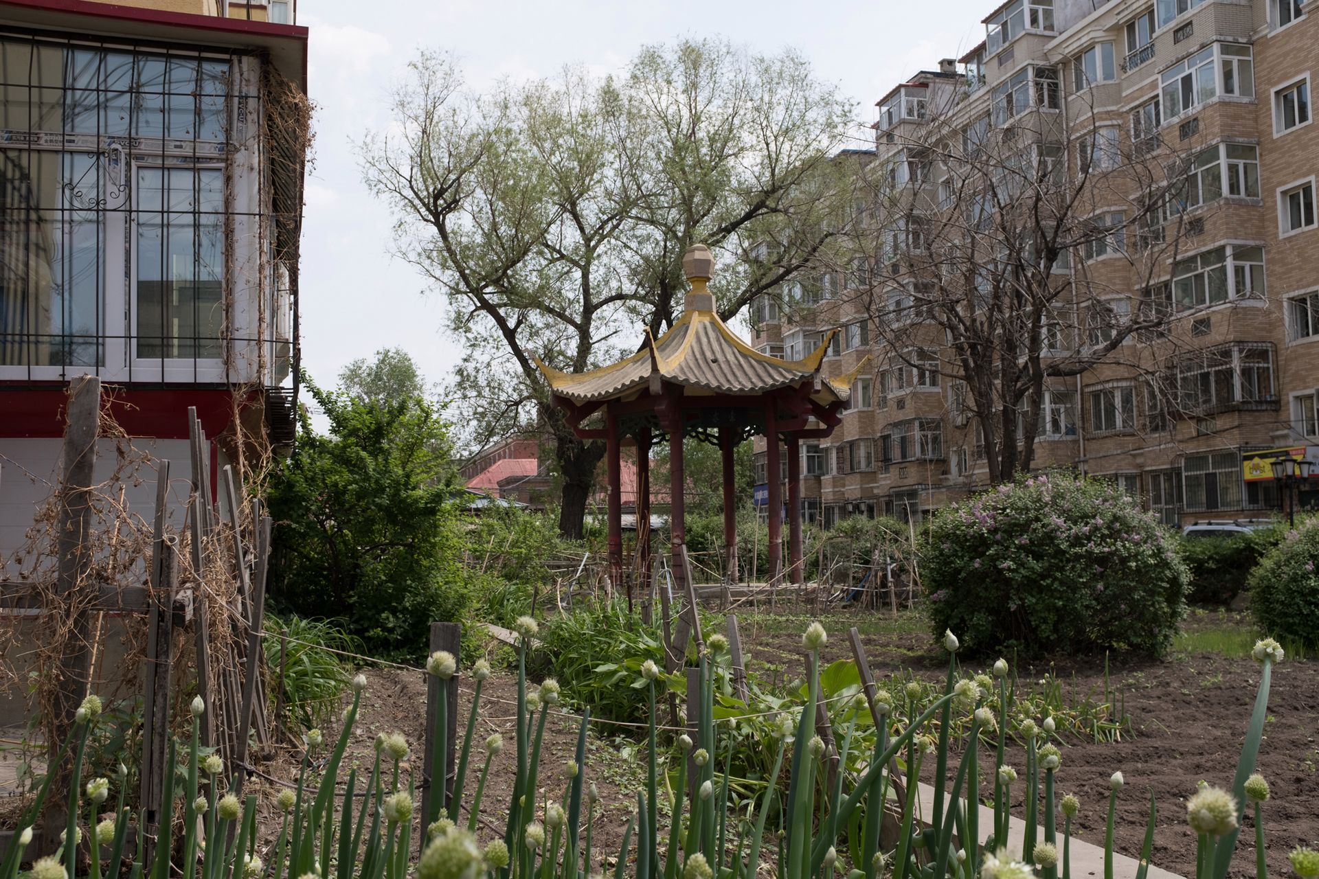 2 miesiące z Fujifilm X100F. Zabrałem go do Chin i pokochałem [test] 150