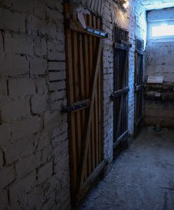 Makabryczne odkrycie pod Piłą. Policjanci z Archiwum X na tropie
