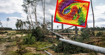 15 ostrzeżeń i 124 alerty. Dramatyczne skutki orkanu w Anglii