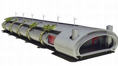 Rewolucja w kurniku 1