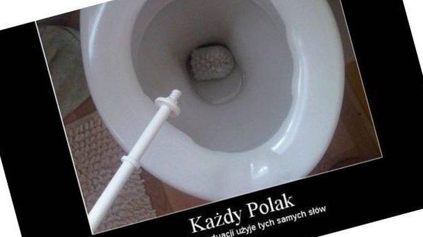 12 najgłupszych tekstów z polskiego Internetu 1