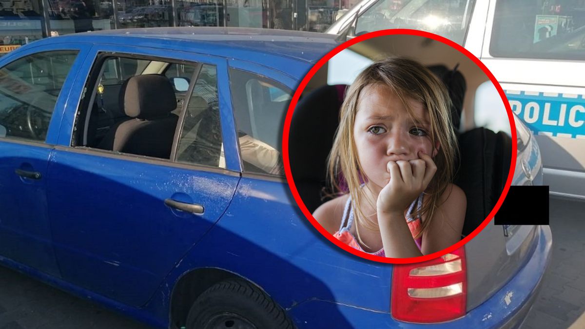 Jeśli zagrożone jest życie lub zdrowie człowieka lub zwierzęcia, można wybić szybę w rozgrzanym aucie