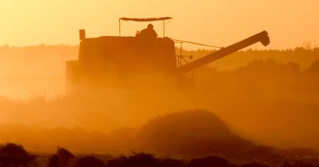 Ruszyły małe żniwa. Kombajny wyjechały na pola wyjątkowo wcześnie