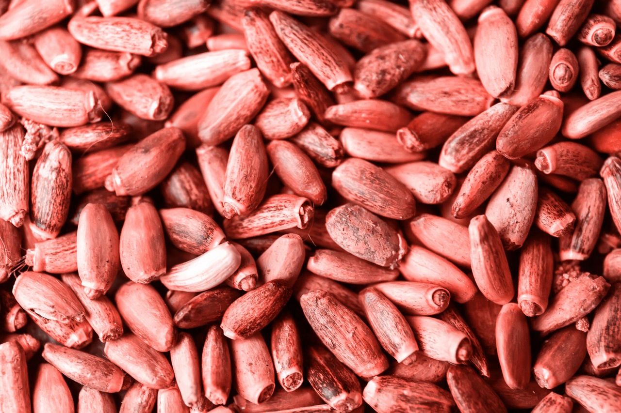 Co na kaca? Ostropest detronizuje sok z ogórków