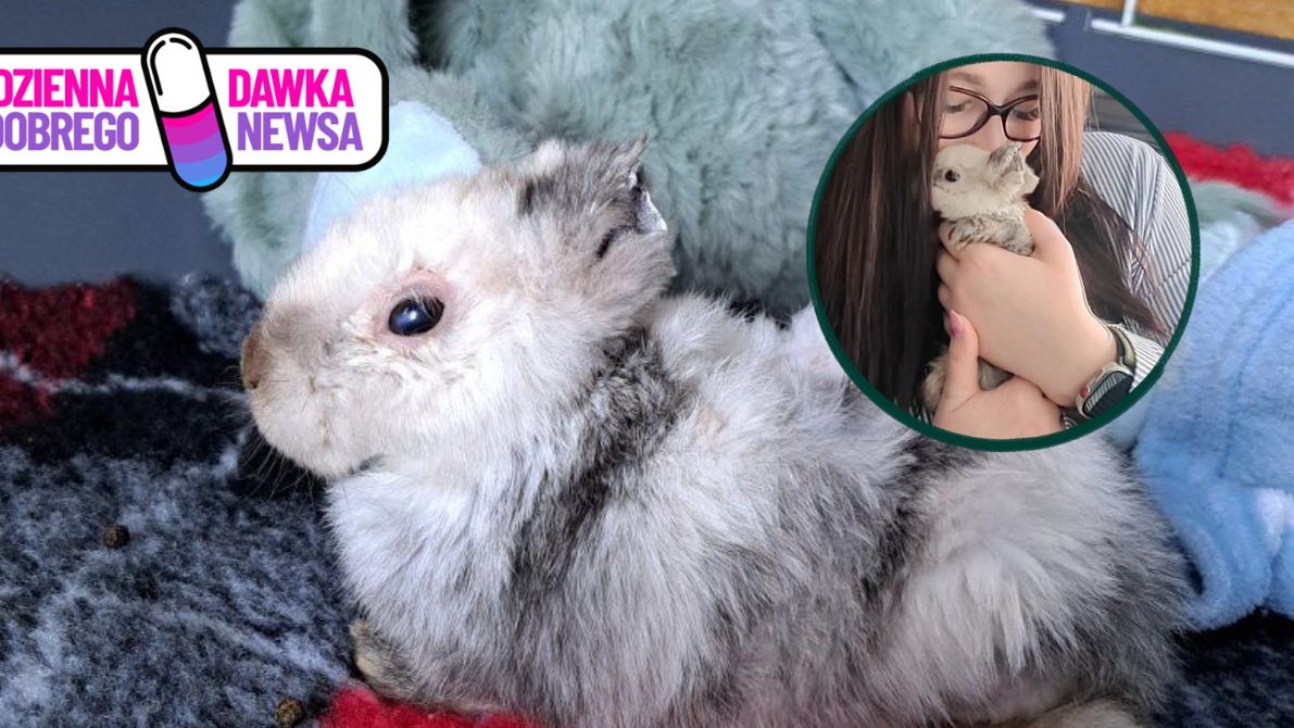 Królik Marcyś i jego nowa "mama".