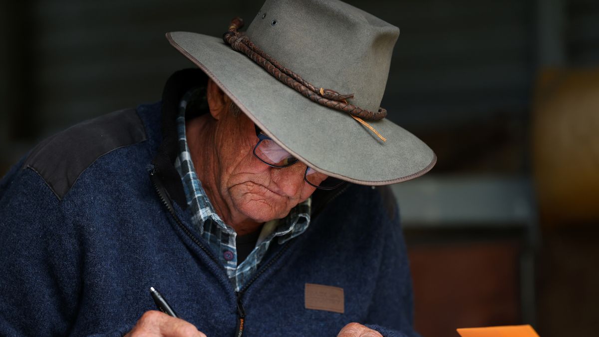 AUCKLAND, NEW ZEALAND - MARCH 29:  Roddy Thompson  judges the huntaway class during the Rodney Sheep Dog Trials at Kaipara Flats  on March 29, 2024 in Auckland, New Zealand. (Photo by Fiona Goodall/Getty Images)
