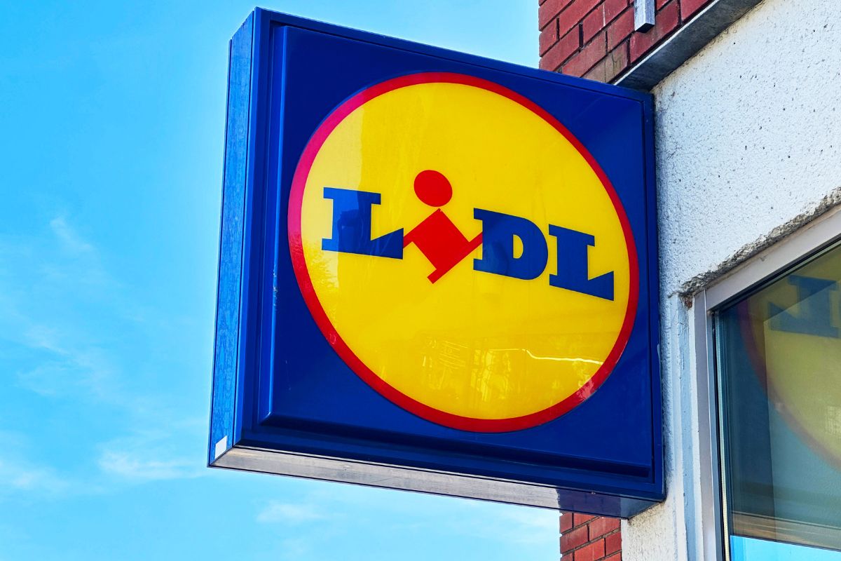 Tylko do dziś w Lidlu. Szynka za 7,99 zł i truskawki 50 proc. taniej