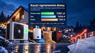 Czym ogrzać dom? Pellet drożeje, gaz niepewny, pompy ciepła wracają do gry