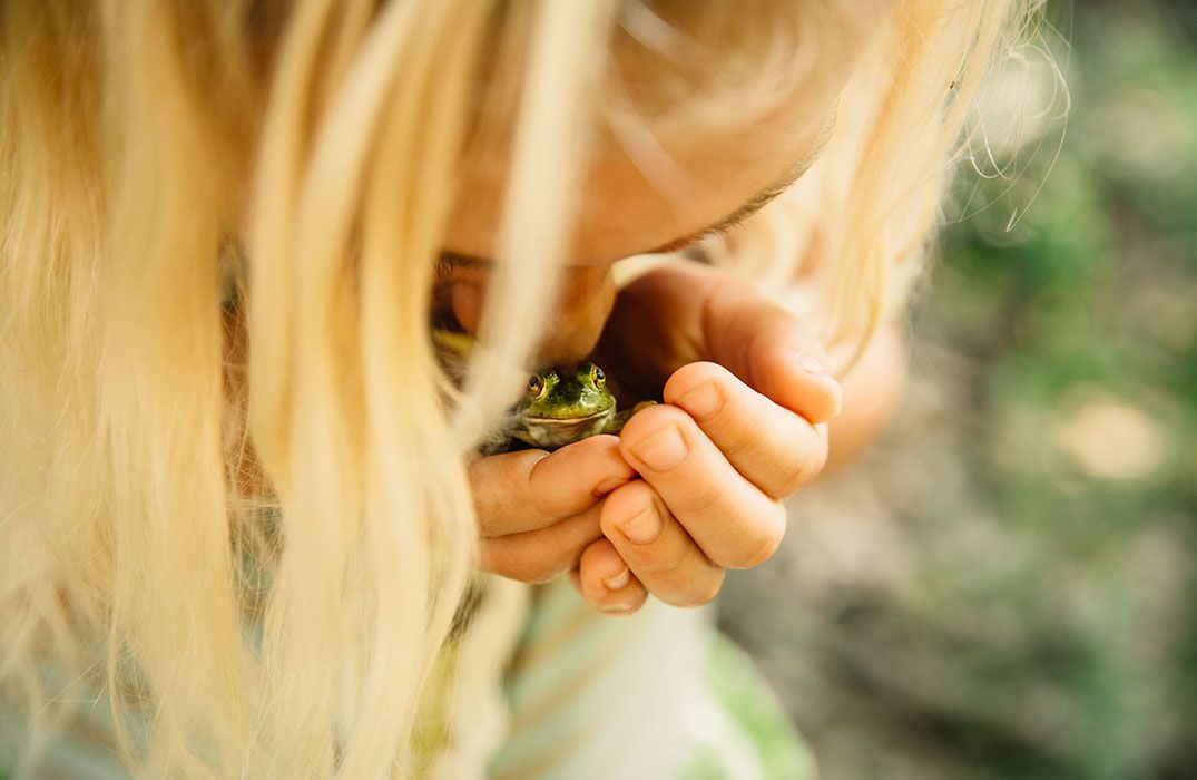 Natura na zdjęciach zwycięzców konkursu The Nature Conservancy Photo Contest 2018 3
