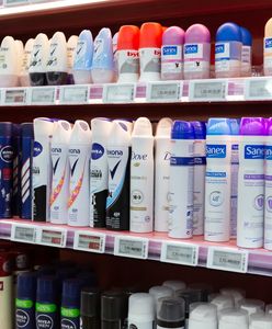 Nowy hit wśród Niemców. Po ten produkt jeżdżą do Polski