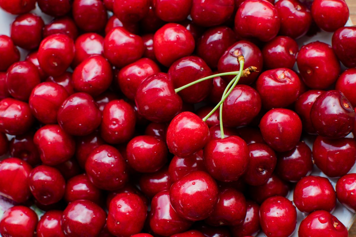 Wormy cherries are not pleasant, but there's an easy way to avoid them.