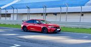 Szybko poszło. Honda wstrzymuje zamówienia na Civica Type R w Japonii