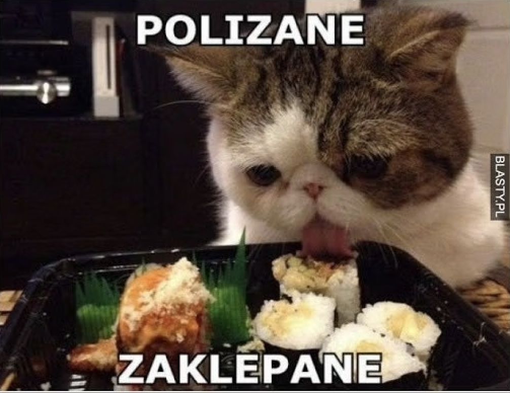 Memy na Dzień Kota