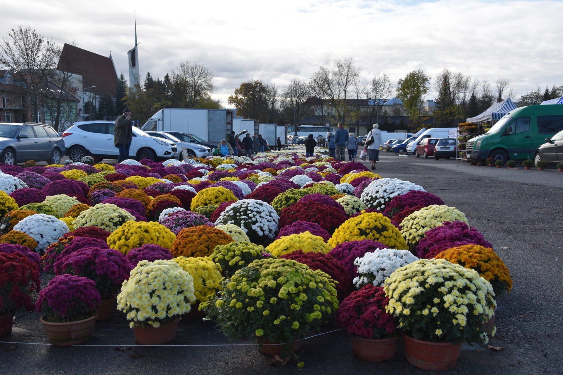 Kiermasz przed Wszystkimi Świętymi na placu starej Kapłanówki w Tarnowie potrwa do piątku. Do wyboru jest mnóstwo chryzantem i zniczy