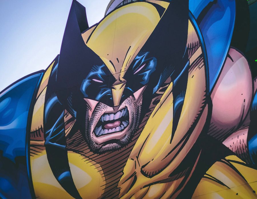 Serial o Wolverine w MCU