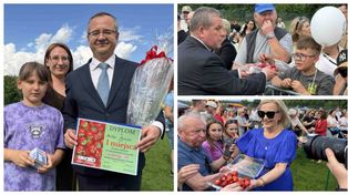 Mistrzostwa VIP w szypułkowaniu truskawek. W Bielinach liczyła się szybka ręka i doświadczenie. Wygrał Marek Mazur. Zobacz zdjęcia
