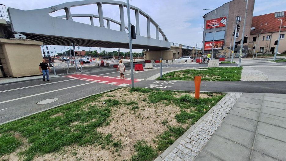 Miejsca, w których będą nasadzenia, łatwo rozpoznać. To tereny, gdzie już rośnie trawa.