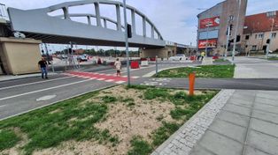 Gorzów: Będzie około 3,7 tys. nowych roślin oraz siedemnaście klonów.