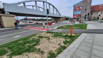 Gorzów: Będzie około 3,7 tys. nowych roślin oraz siedemnaście klonów.