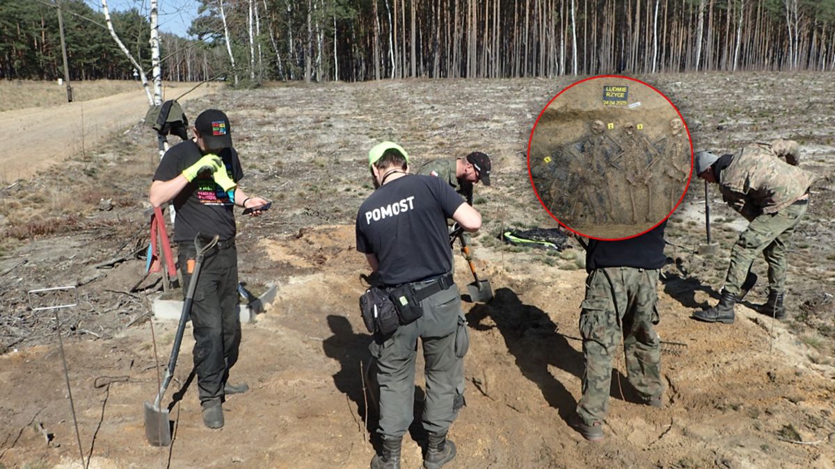 Badania w Ludmierzycach na Opolszczyźnie.