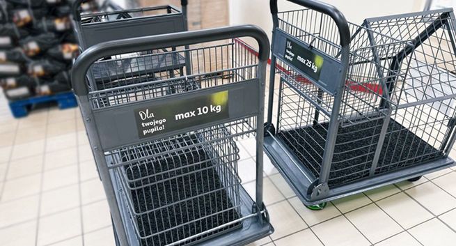 Auchan wprowadza wózki dla psów