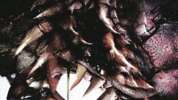 Coś się czai podczas zaciemnienia [zwiastun] 1