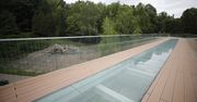 W Śląskim Ogrodzie Zoologicznym poczujesz się jak w Parku Jurajskim! Dzięki przeszklonej kładce skalnej, zobaczysz dinozaury z góry!
