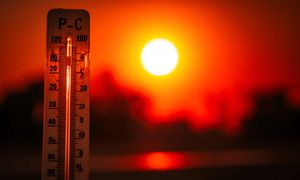 Możesz poczuć stres. Tak na ciało wpływają upały