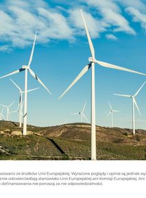 Wiatr w oczy czy wiatr w żagle? Sprawdź, ile wiesz o energetyce wiatrowej! [QUIZ]