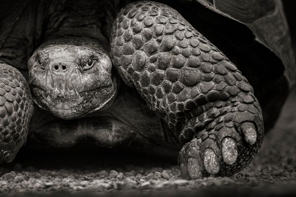 Znamy zwycięzców Travel Photographer of the Year 2015 18
