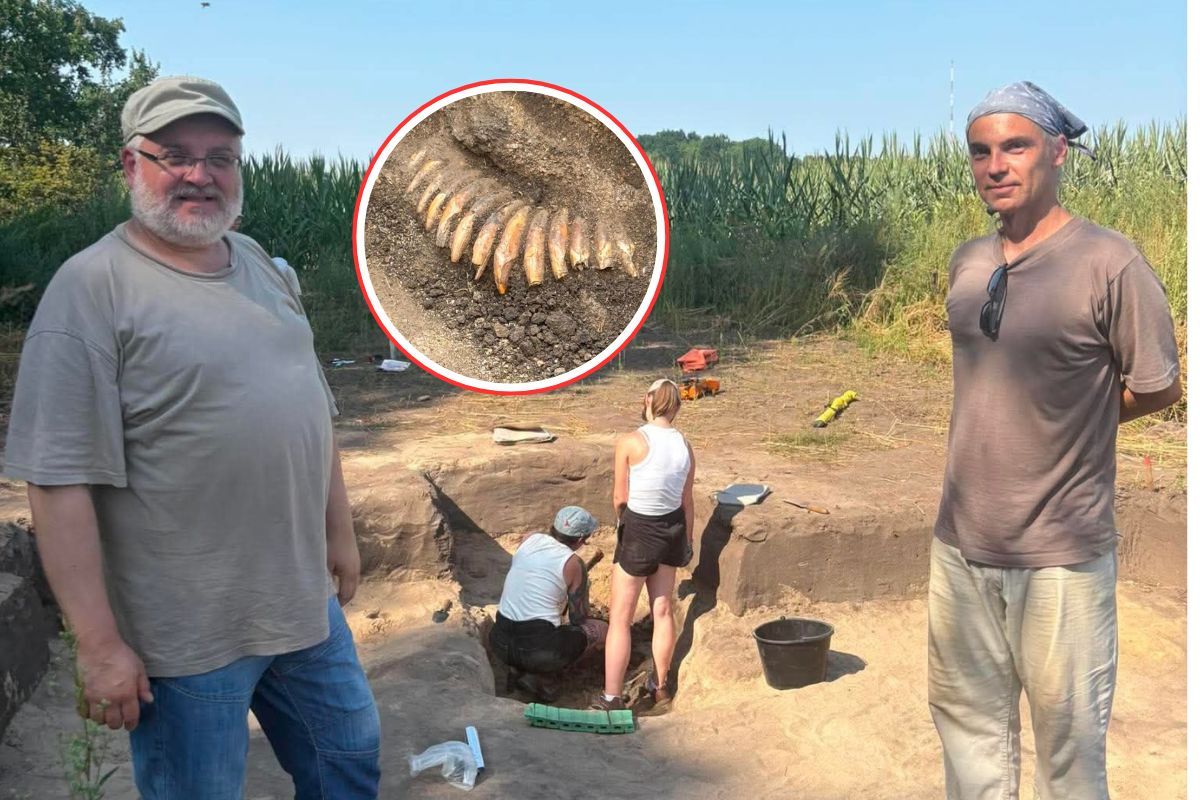 Ma ponad 5 tys. lat. Sensacyjne znalezisko archeologów