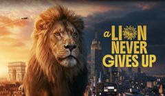 Publicis Groupe bożonarodzeniowym spotem z AI świętuje 100-lecie