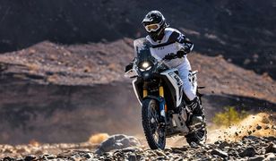 Voge DS800 Rally: Nowy motocykl adventure już w Polsce