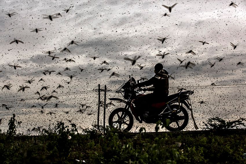 Sony World Photography Awards 2021: Znamy wyniki największego konkursu fotograficznego na świecie 31