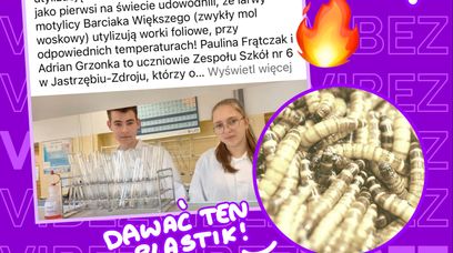 16-latkowie z Polski odkryli, jak skutecznie walczyć z plastikiem. Pomogą nam… larwy mola woskowego