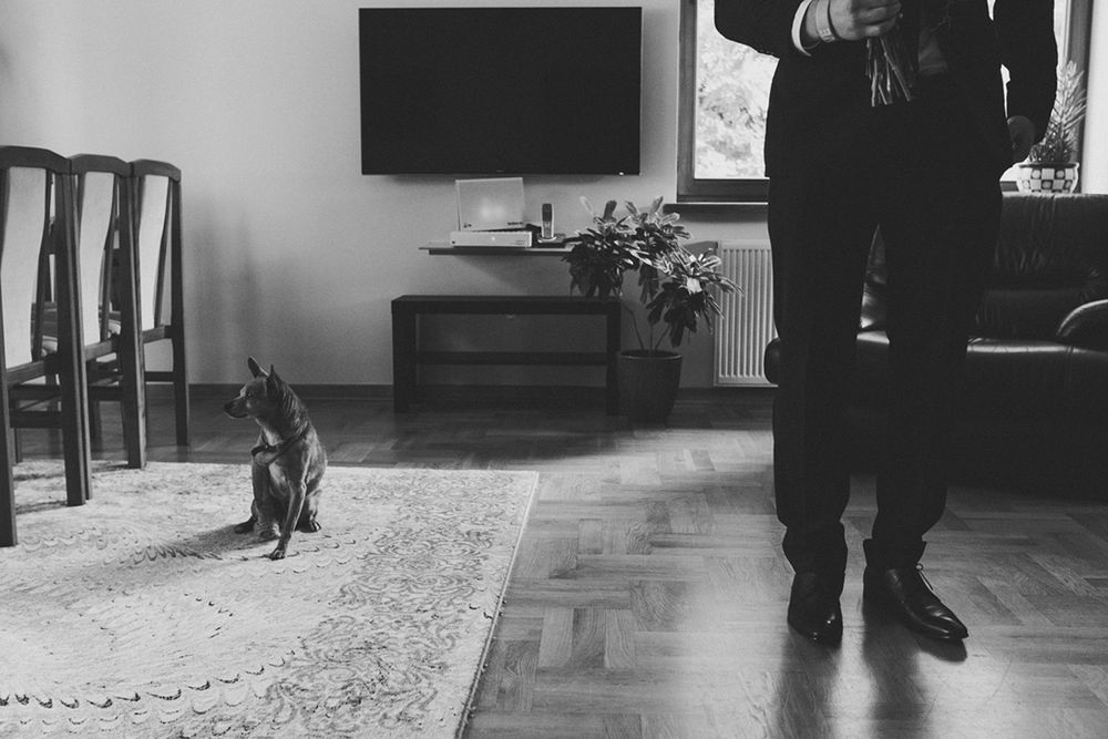 The Snap Shots: „Do działania nakręca nas fotografowanie prawdziwego życia i emocji” 12
