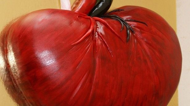 Nastolatek z Chin sprzedał nerkę, żeby kupić iPada 2! 1