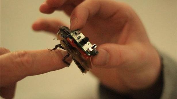 Bioboty: robale-szpiedzy w każdym domu. Nie ma przed nimi ucieczki? 1