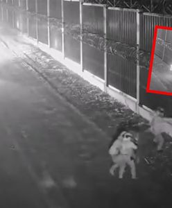 Groźny incydent na granicy. Straż Graniczna zareagowała