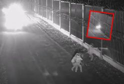 Groźny incydent na granicy. Straż Graniczna zareagowała