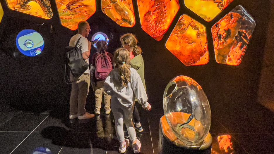 Muzeum Bursztynu w Gdańsku to niezwykłe miejsce