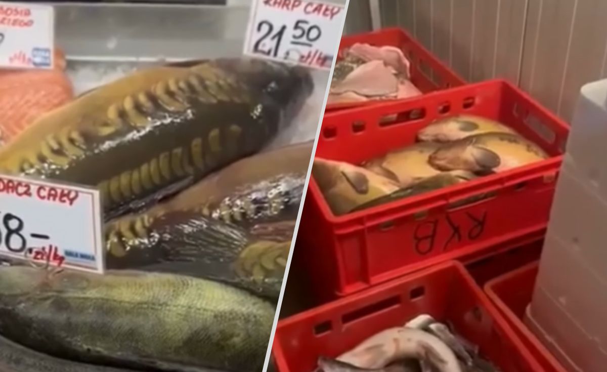 Ryby umierały godzinami w sklepie
