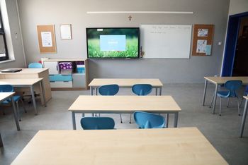 Kijek ożywił mrowisko. Kronika bydgoska Ewy Czarnowskiej - Woźniak